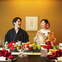 プラン&料金データ