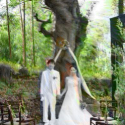 【初めての見学も安心】～Kurotori no mori～体感　結婚式のお悩み解決相談会♪