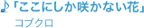 「ここにしか咲かない花」/コブクロ